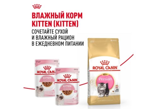 Royal Canin Breed cat Kitten Persian / Сухой корм Роял Канин для Котят Персидской породы в возрасте от 4 до 12 месяцев