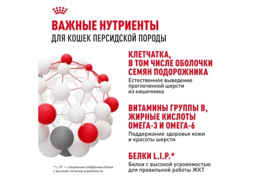 Royal Canin Breed cat Persian / Сухой корм Роял Канин для Взрослых кошек Персидской породы старше 1 года