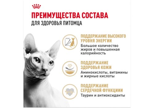Royal Canin Breed cat Sphynx / Сухой корм Роял Канин для взрослых кошек породы Сфинкс страше 1 года
