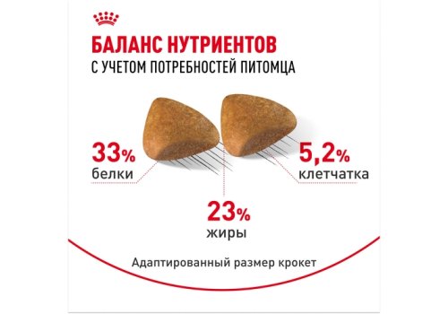 Royal Canin Breed cat Sphynx / Сухой корм Роял Канин для взрослых кошек породы Сфинкс страше 1 года