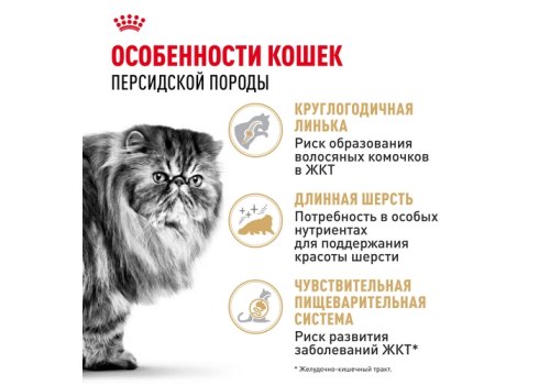 Royal Canin Breed cat Persian / Сухой корм Роял Канин для Взрослых кошек Персидской породы старше 1 года