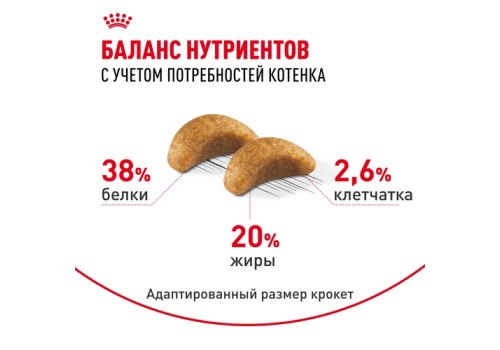 Royal Canin Breed cat Kitten British Shorthair / Сухой корм Роял Канин для Котят породы Британская короткошерстная в возрасте от 4 до 12 месяцев