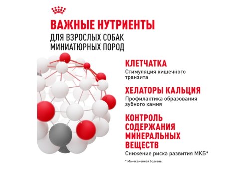 Royal Canin X-Small Adult / Сухой корм Роял Канин Икс-Смолл Эдалт для Взрослых собак мелких пород