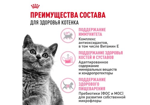 Royal Canin Breed cat Kitten British Shorthair / Сухой корм Роял Канин для Котят породы Британская короткошерстная в возрасте от 4 до 12 месяцев