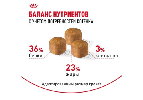 Royal Canin Breed cat Kitten Maine Coon / Сухой корм Роял Канин для Котят породы Мэйн Кун в возрасте до 15 месяцев