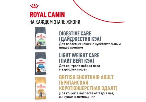 Royal Canin Breed cat Kitten British Shorthair / Сухой корм Роял Канин для Котят породы Британская короткошерстная в возрасте от 4 до 12 месяцев