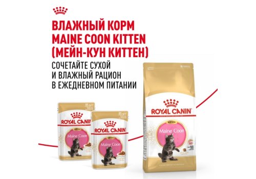 Royal Canin Breed cat Kitten Maine Coon / Сухой корм Роял Канин для Котят породы Мэйн Кун в возрасте до 15 месяцев