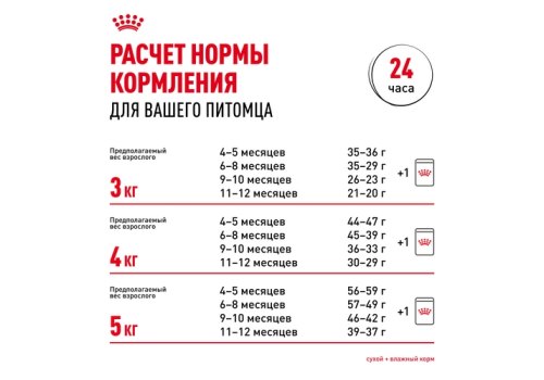 Royal Canin Breed cat Kitten British Shorthair / Сухой корм Роял Канин для Котят породы Британская короткошерстная в возрасте от 4 до 12 месяцев