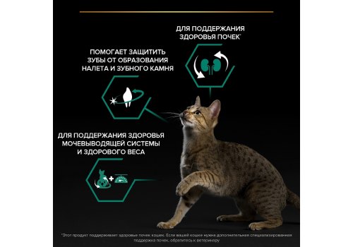 PRO PLAN STERILISED / Сухой корм ПРО ПЛАН для взрослых кошек для поддержания здоровья почек после стерилизации с индейкой
