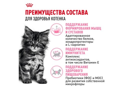 Royal Canin Breed cat Kitten Maine Coon / Сухой корм Роял Канин для Котят породы Мэйн Кун в возрасте до 15 месяцев