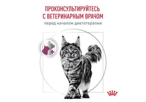 Royal Canin Renal with Beef / Ветеринарный влажный корм (Консервы-Паучи) Роял Канин Ренал для кошек для поддержания функции почек с Говядиной(цена за упаковку)