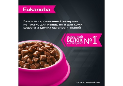 Eukanuba Dog Pouch Adult Beef / Влажный корм (Паучи) Эукануба для взрослых собак с Говядиной в соусе (цена за упаковку)