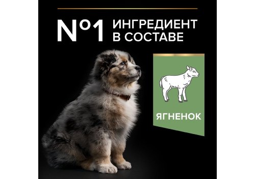 PRO PLAN OPTI DIGEST / Сухой корм ПРО ПЛАН для щенков средних пород при чувствительном пищеварении с ягненком