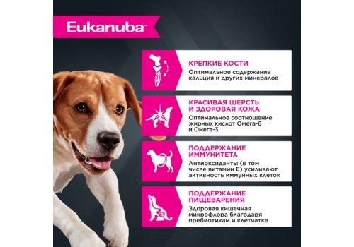 Eukanuba Dog Pouch Adult Lamb / Влажный корм (Паучи) Эукануба для взрослых собак с Ягненком в соусе (цена за упаковку)