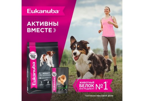 Eukanuba Dog Pouch Adult Beef / Влажный корм (Паучи) Эукануба для взрослых собак с Говядиной в соусе (цена за упаковку)