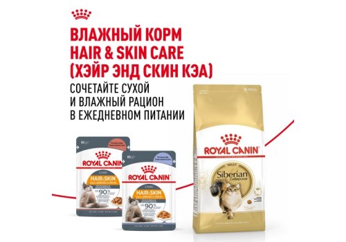Royal Canin Breed cat Siberian / Сухой корм Роял Канин для взрослых кошек Сибирской породы старше 1 года