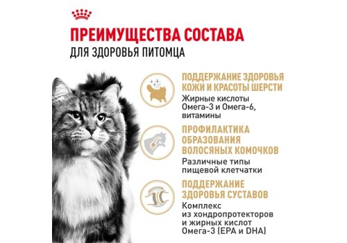 Royal Canin Breed cat Siberian / Сухой корм Роял Канин для взрослых кошек Сибирской породы старше 1 года