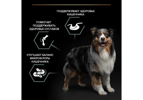 PRO PLAN OPTI DIGEST / Сухой корм ПРО ПЛАН для взрослых собак средних пород при чувствительном пищеварении с ягненком