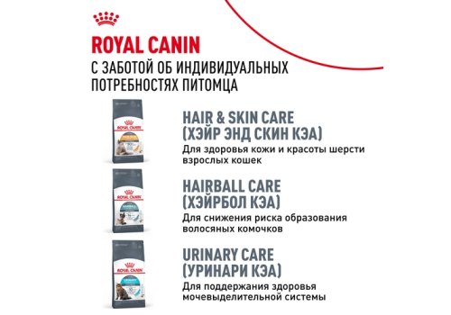Royal Canin Breed cat Siberian / Сухой корм Роял Канин для взрослых кошек Сибирской породы старше 1 года