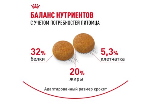 Royal Canin Breed cat Siberian / Сухой корм Роял Канин для взрослых кошек Сибирской породы старше 1 года