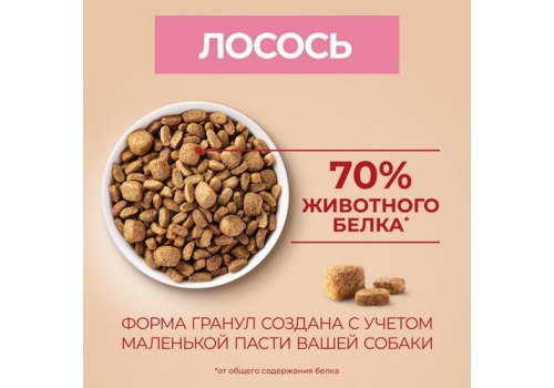 PURINA ONE MINI / Сухой корм Пурина УАН для взрослых собак мелких пород при чувствительном пищеварении с лососем