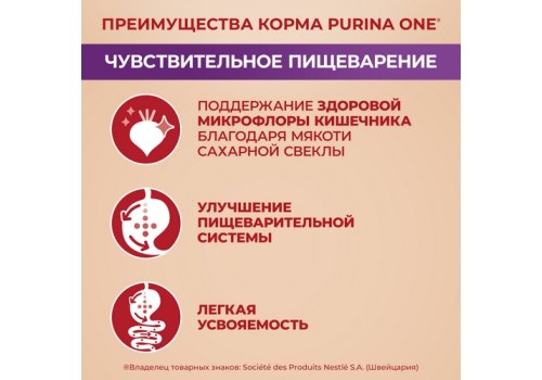 PURINA ONE MINI / Сухой корм Пурина УАН для взрослых собак мелких пород при чувствительном пищеварении с лососем