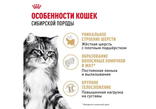 Royal Canin Breed cat Siberian / Сухой корм Роял Канин для взрослых кошек Сибирской породы старше 1 года