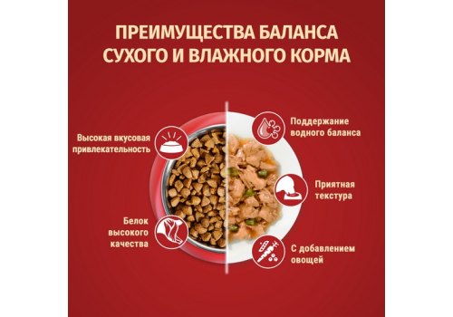 PURINA ONE MINI / Сухой корм Пурина УАН для взрослых собак мелких пород при чувствительном пищеварении с лососем