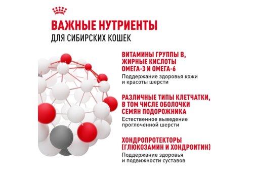 Royal Canin Breed cat Siberian / Сухой корм Роял Канин для взрослых кошек Сибирской породы старше 1 года