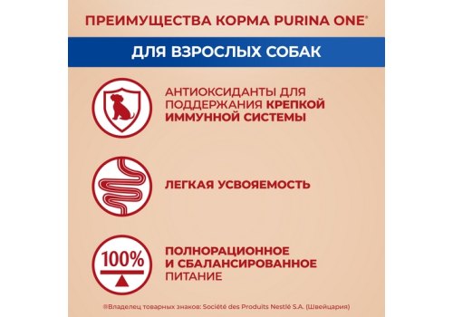 PURINA ONE ADULT / Влажный корм Паучи Пурина УАН для взрослых собак мелких пород с говядиной (цена за упаковку)