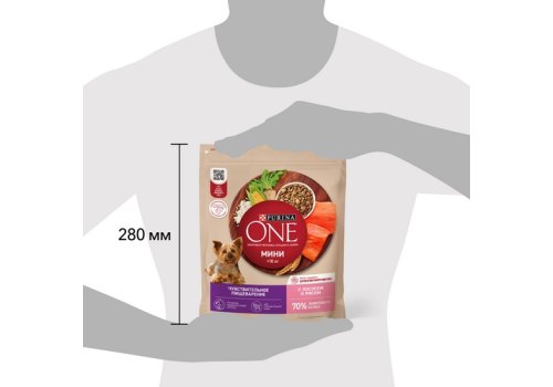 PURINA ONE MINI / Сухой корм Пурина УАН для взрослых собак мелких пород при чувствительном пищеварении с лососем