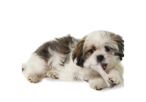 Petstages Deerhorn / Игрушка Петстейджес для собак с Оленьими рогами