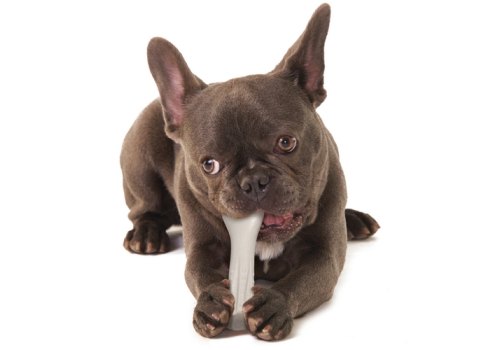 Petstages Deerhorn / Игрушка Петстейджес для собак с Оленьими рогами