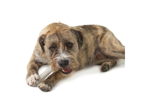 Petstages Deerhorn / Игрушка Петстейджес для собак с Оленьими рогами