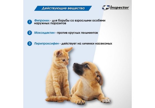 Inspector / Cпрей Инспектор против Внешних и Внутренних паразитов для кошек и собак