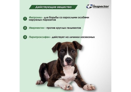 Inspector Collar / Ошейник Инспектор против Внешних и Внутренних паразитов для Средних собак