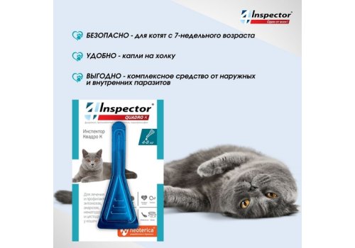 Inspector Quadro К / Капли Инспектор от Внешних и Внутренних паразитов для кошек весом от 4 до 8 кг
