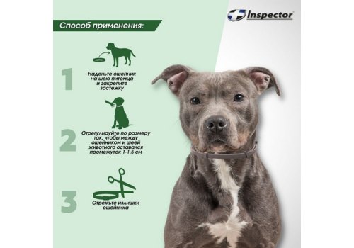 Inspector Collar / Ошейник Инспектор против Внешних и Внутренних паразитов для Средних собак