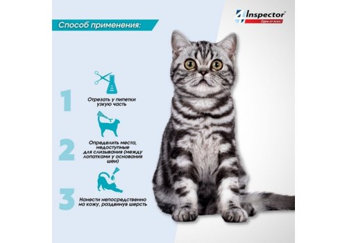 Inspector Quadro К / Капли Инспектор от Внешних и Внутренних паразитов для кошек весом от 4 до 8 кг