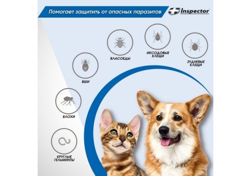 Inspector / Cпрей Инспектор против Внешних и Внутренних паразитов для кошек и собак