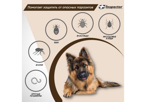 Inspector Collar / Ошейник Инспектор против Внешних и Внутренних паразитов для Крупных собак
