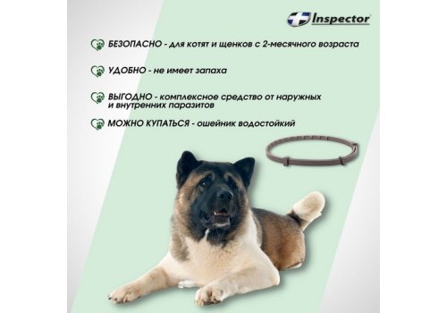 Inspector Collar / Ошейник Инспектор против Внешних и Внутренних паразитов для Средних собак