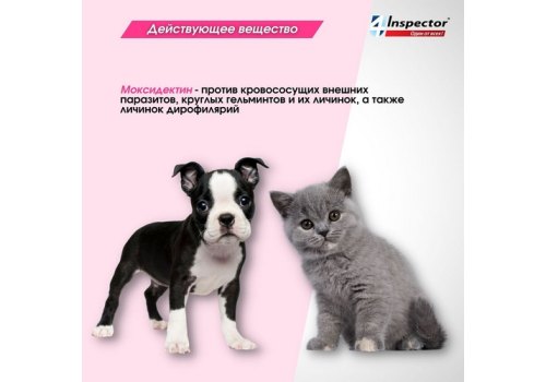 Inspector Мини / Капли Инспектор от Внешних и Внутренних паразитов для кошек и собак весом от 0,5 до 2 кг