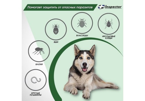 Inspector Collar / Ошейник Инспектор против Внешних и Внутренних паразитов для Средних собак