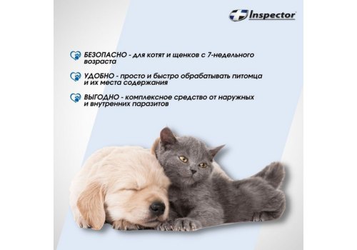 Inspector / Cпрей Инспектор против Внешних и Внутренних паразитов для кошек и собак