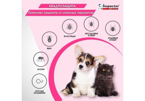 Inspector Мини / Капли Инспектор от Внешних и Внутренних паразитов для кошек и собак весом от 0,5 до 2 кг