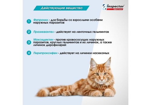 Inspector Quadro К / Капли Инспектор от Внешних и Внутренних паразитов для кошек весом от 4 до 8 кг