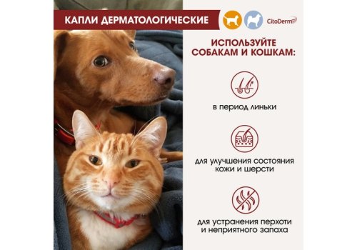 CitoDerm / Капли Цитодерм Дерматологические для кошек и собак весом до 10 кг