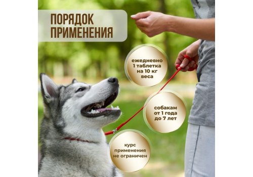 Unitabs ImmunoComplex с Q10 / Витаминно-минеральный комплекс Юнитабс для Крупных собак