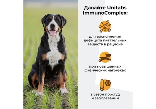 Unitabs ImmunoComplex с Q10 / Витаминно-минеральный комплекс Юнитабс для Крупных собак